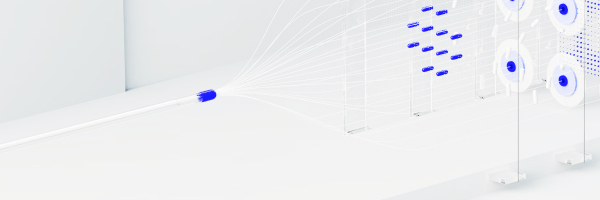 Strategic Consulting